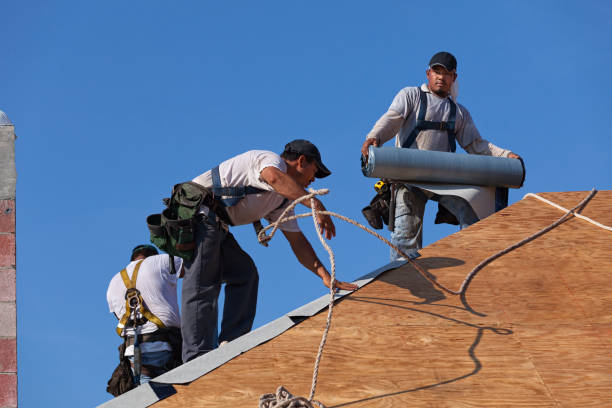 Best Metal Roofing Contractor  in South Miami, FL